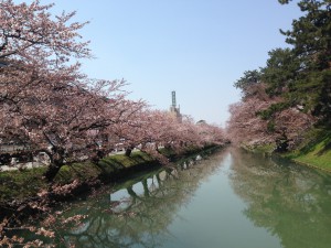 image (4)