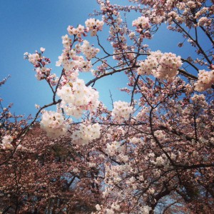 image (5)