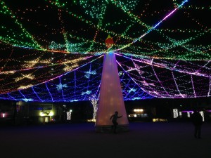 IMG_3408