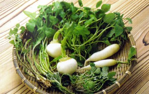 0000208_seven-herb-extract-