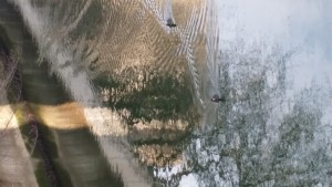 20160103_145202