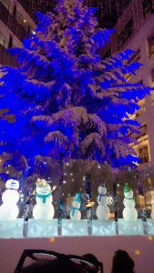 IMG_5178[1]