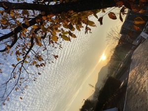 2657704F-7DEE-4586-BCC3-11867CBA2D29