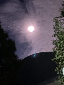 44F0D2C6-F4D8-4099-AA44-FE4FF328FBFA